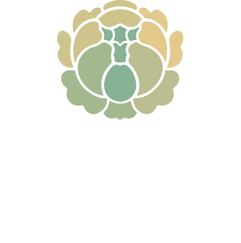 ロールキャベツ専門店 and Roll